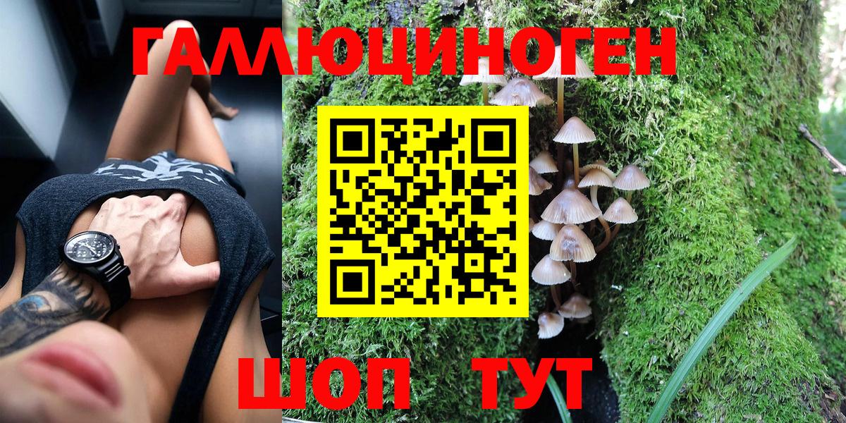 Псилоцибиновые грибы Psilocybe Сорочинск